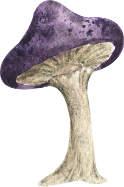 Watercolor Magic Mushroom